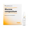 Mucosa-compositum-Heel
